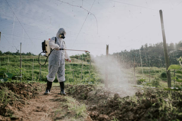 Best Local Pest Control Services  in Centerville, CA