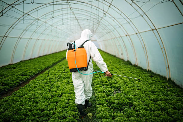 Best Mosquito Control Services  in Centerville, CA