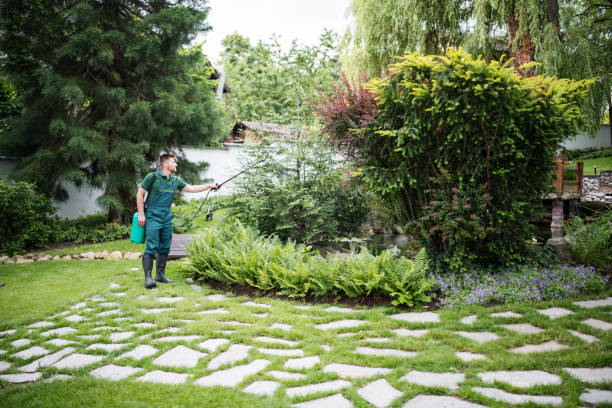 Best Insect Control  in Centerville, CA