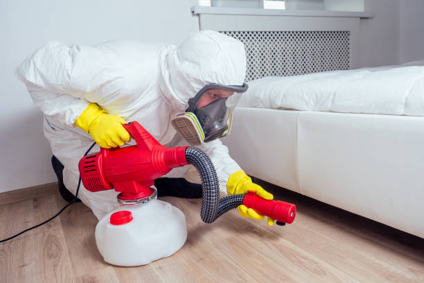Best Pest Control for Homes  in Centerville, CA