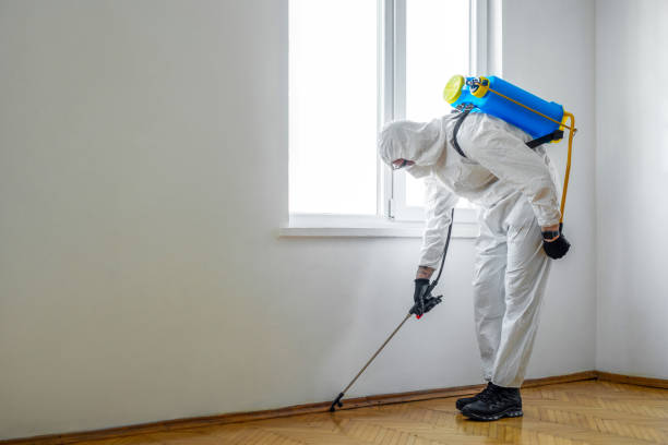 Wildlife Control Services in Centerville, CA