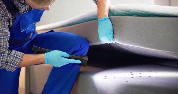 Best Residential Pest Control  in Centerville, CA