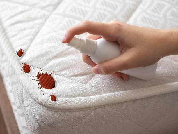 Best Commercial Pest Control Services  in Centerville, CA
