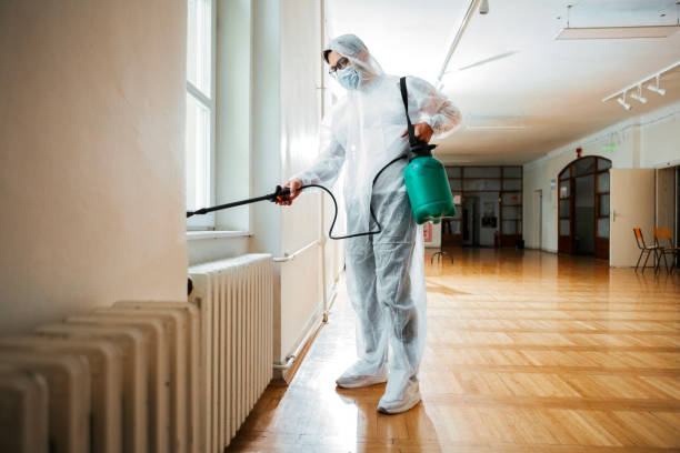 Best Rat Extermination Near Me  in Centerville, CA