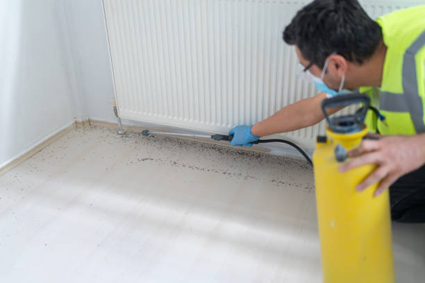 Best Pest Removal Services  in Centerville, CA