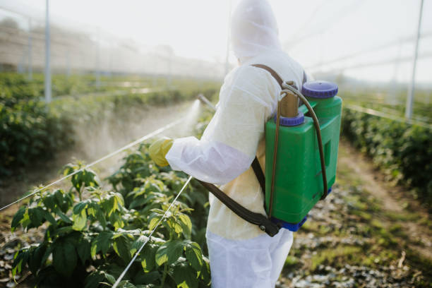 Best Emergency Pest Control  in Centerville, CA